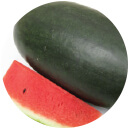 Watermelon Seeds - F-1 Arya 005