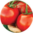 Tomatoes Seeds - F-1 2550