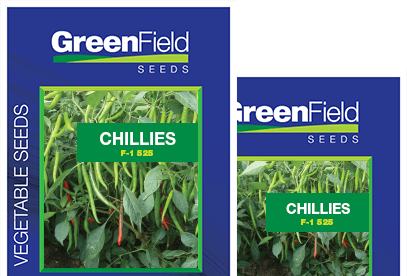 Chilles Seeds